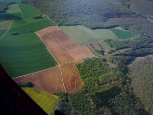 Traces étranges dans les champs