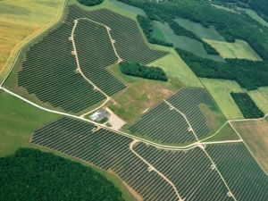 Ferme de panneaux solaires