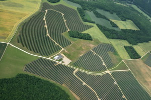 Ferme de panneaux solaires - vue aérienne