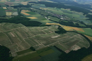 Les vignes en juin - Vue aérienne